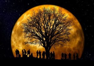 Mond Kinderwunschrituale Blogtour Herbstlande