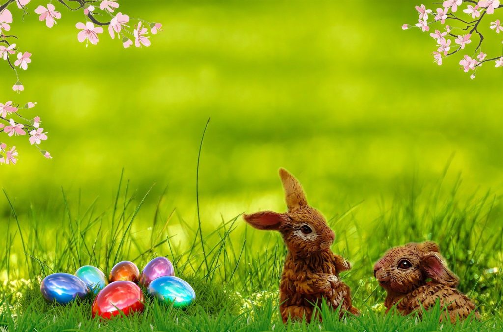 Ostern 2022 © Isi reiki /pixabay grüner Hintergrund, oberer Bildrand Kirschblüten, links unten gefärbte Eier, rechts zwei Osterhasen